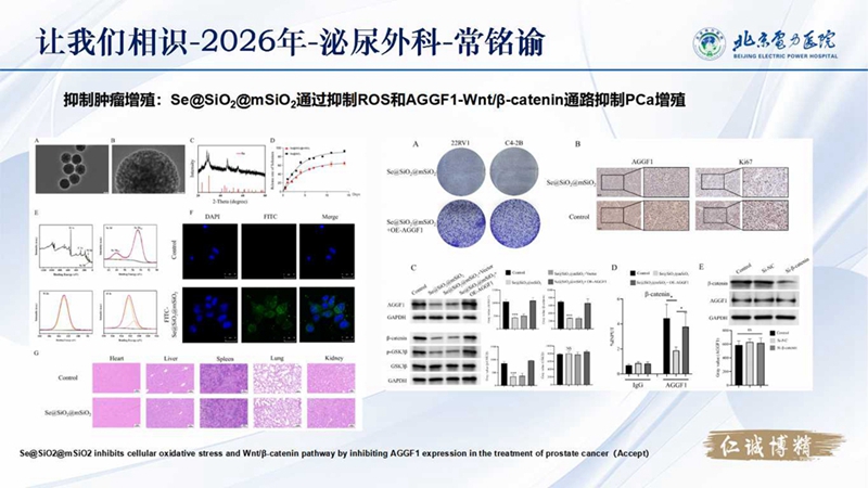 幻灯片6.jpg